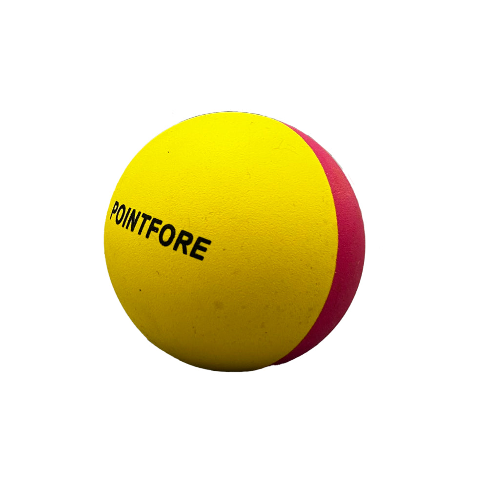 Single Pointfore Junior Squash Ball